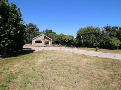Picture 16